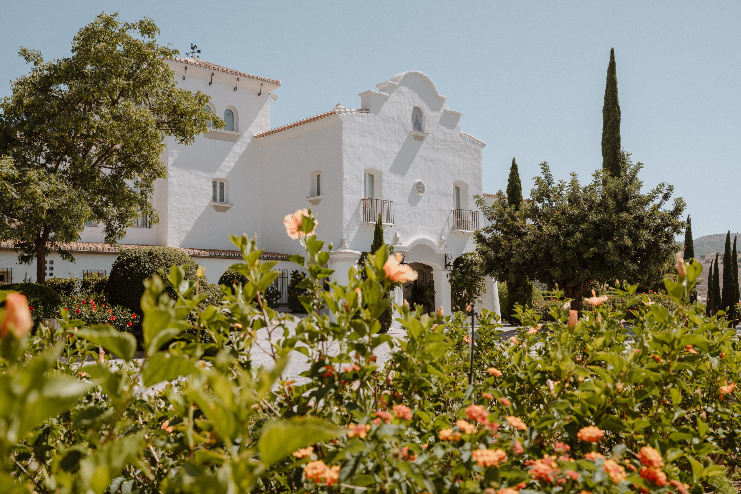 PREVIEW WEDDING GRAHAM & KELLY