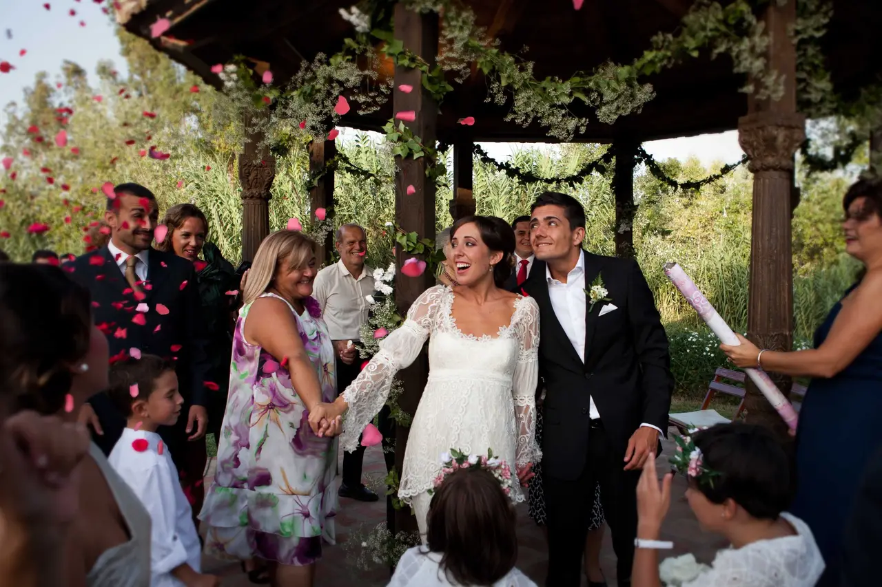 confetti-petals_1_17381